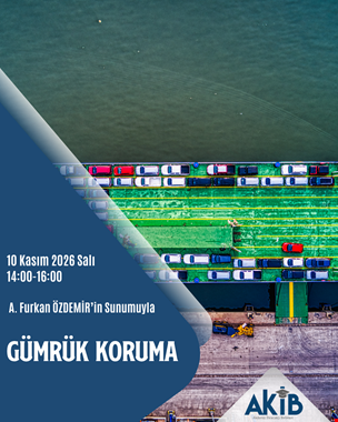 Gümrük Koruma